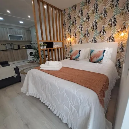 Lucas House 纳扎雷