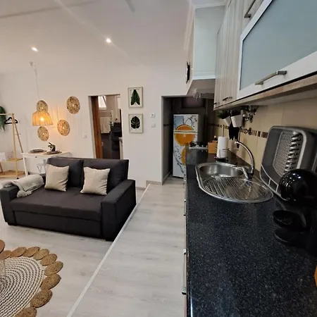 Lucas House 纳扎雷