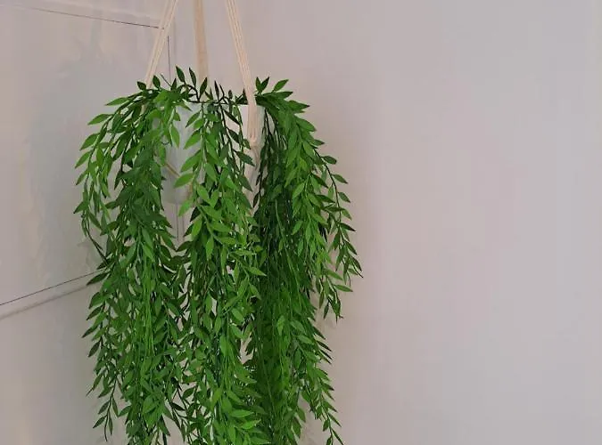 Lucas House Dom wakacyjny *