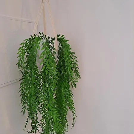 Lucas House 別荘 *