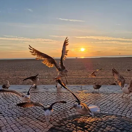 Lucas House ナザレ